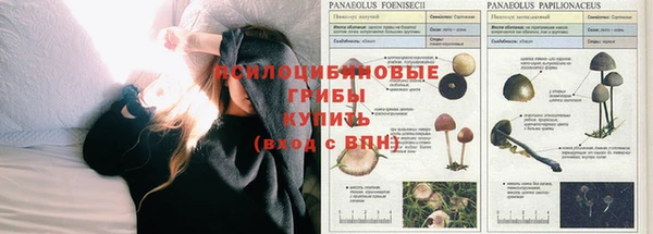 мескалин Аркадак